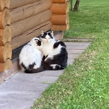 Anni Saunamaja * Meeliku